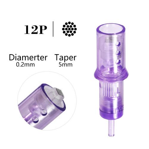 BeautyDIY 12P Nano and MTS cartridge needle