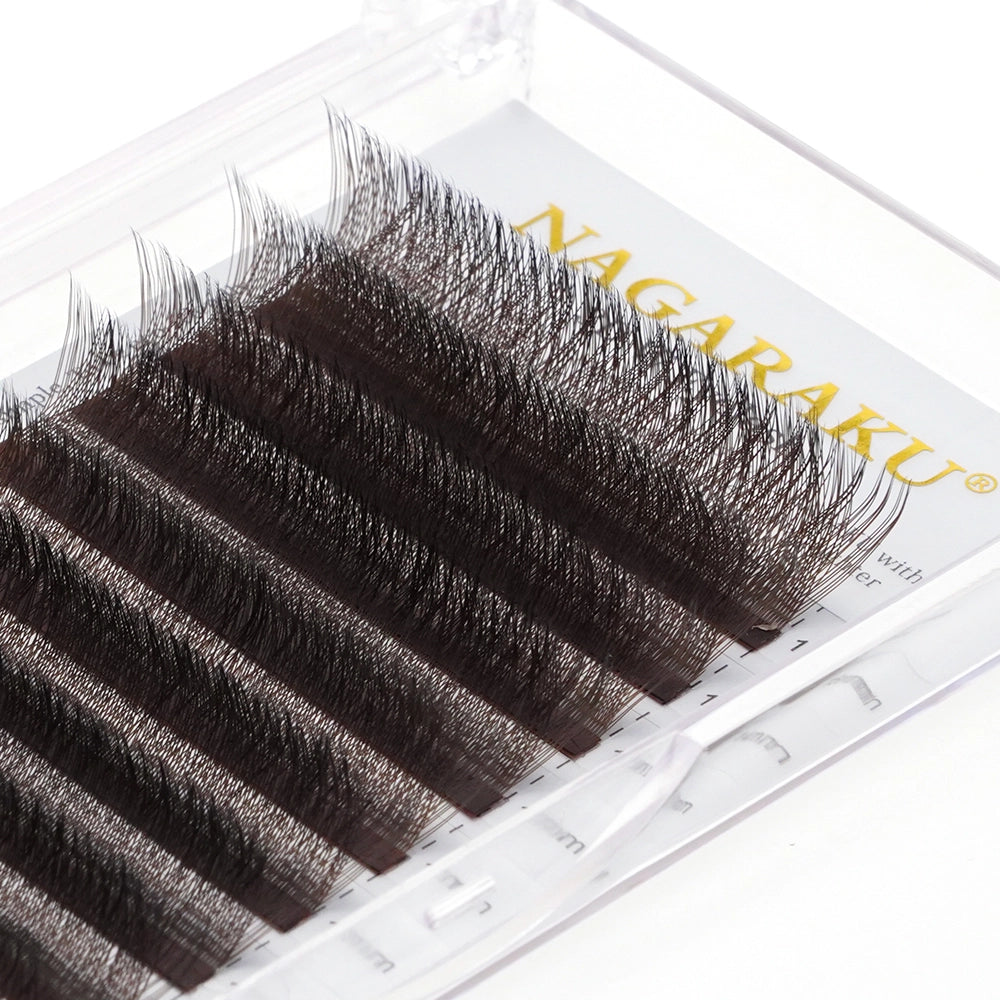 NAGARAKU Brown 3D 4D 5D W Eyelash Extension